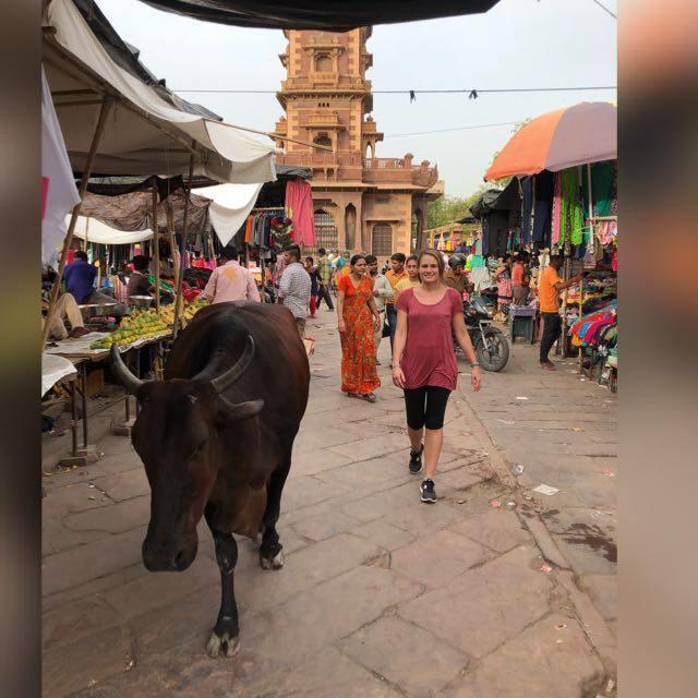 Tanu'S Homestay Jodhpur  Buitenkant foto